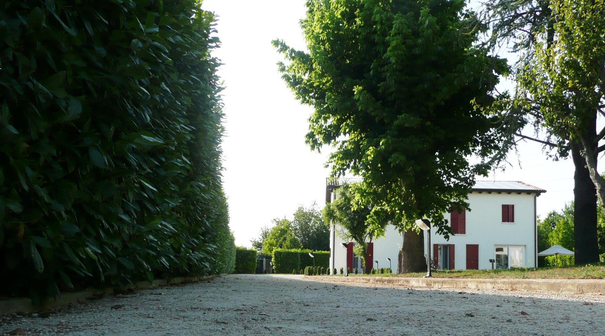 Agriturismo Campoverde Camponogara Eksteriør billede