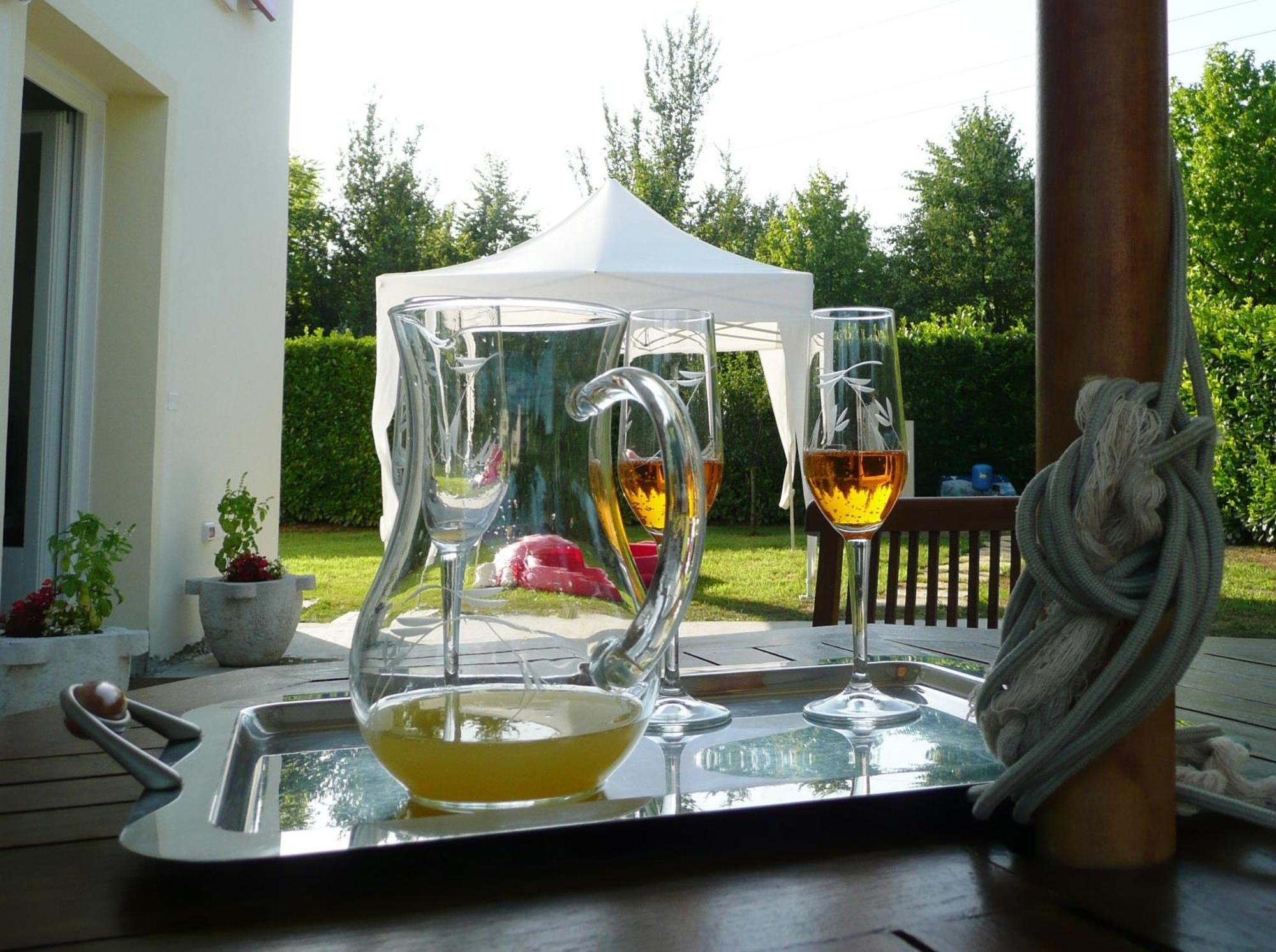 Agriturismo Campoverde Camponogara Eksteriør billede